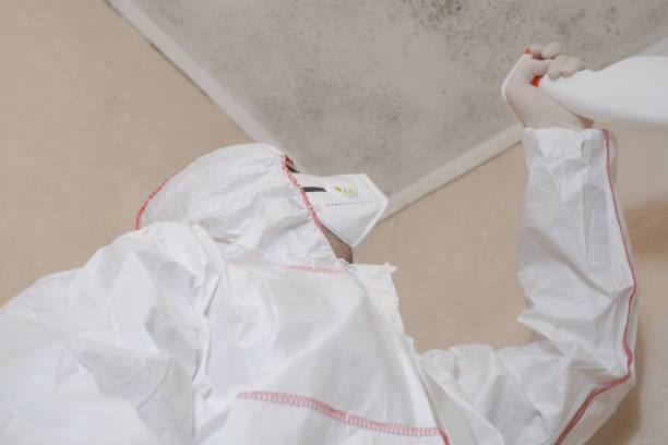 Best Mold Prevention Services  in Olmos Park, TX